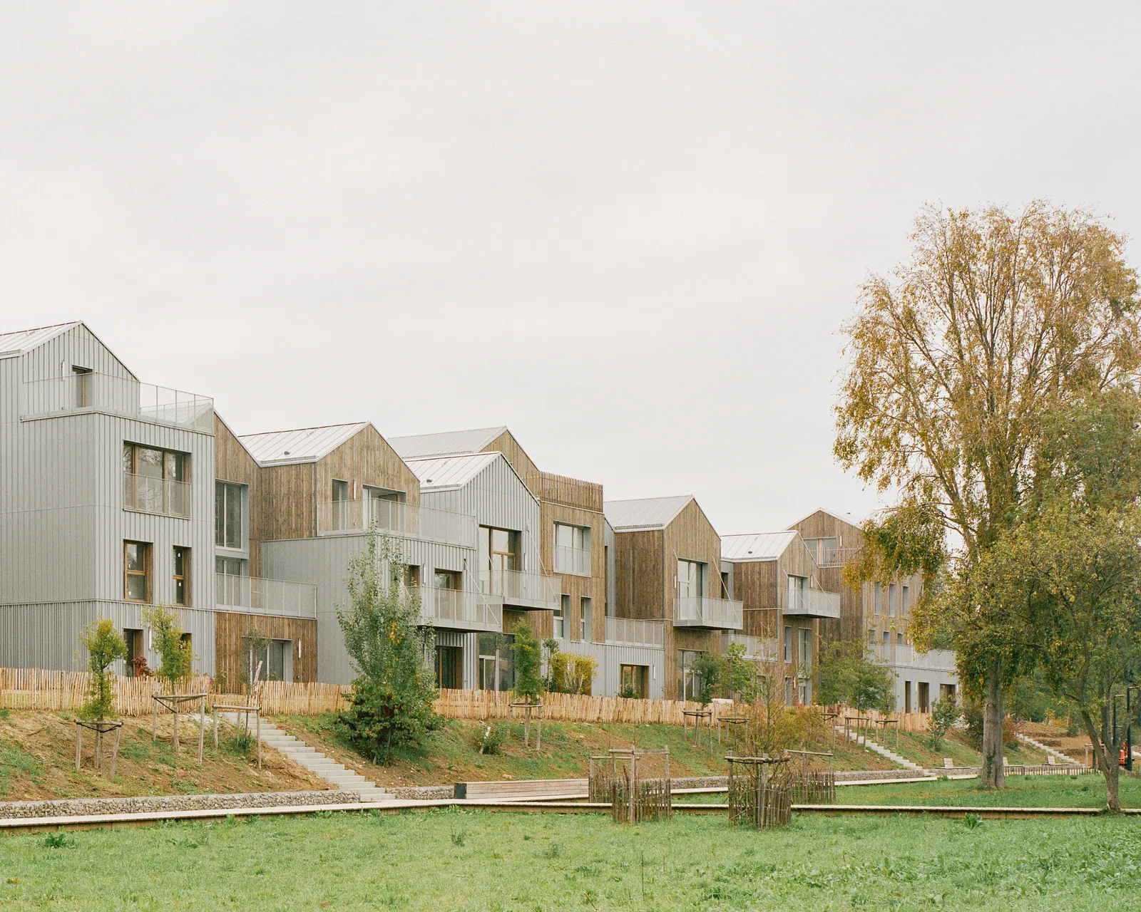 Belle-Île-en-Marne à Noisy-le-Grand : une file de volumes à toitures à deux pentes, bardés de bois et de bac acier, posés sur une butte au-dessus de la prairie, un grand arbre d'automne sur la droite.