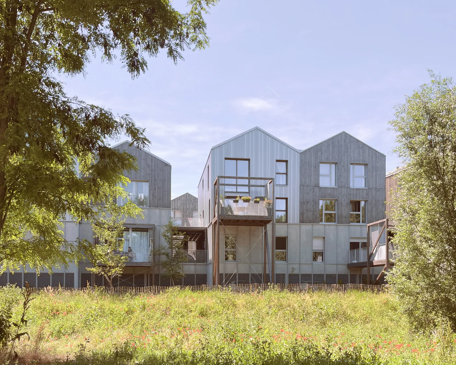 Belle-Île-en-Marne : volumes bardés de bois et de zinc, terrasses-cabanes suspendues sur poteaux, arbres et prairie au premier plan.