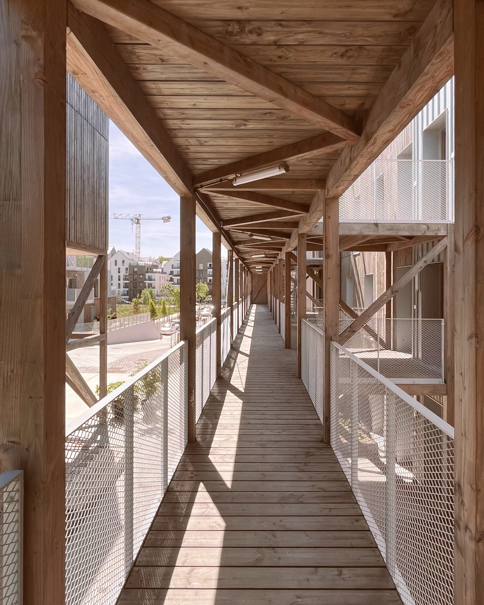 Passerelle en platelage bois sous une charpente apparente, à Belle-Île-en-Marne : perspective des poteaux et des contreventements.
